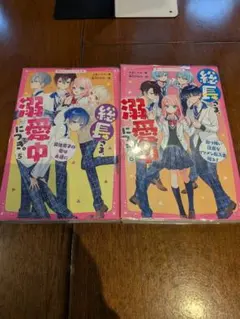 総長さま、溺愛中につき。5巻 6巻 2冊セット 【カバー付美品 おまけつき】