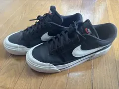 Nike スニーカー　29cm