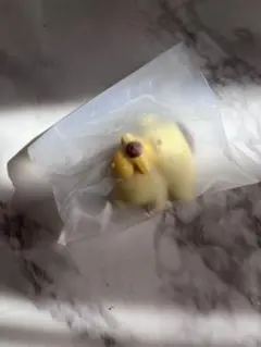 ぬいぐるみといっしょフィギュア ポムポムプリン