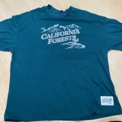 Item thumbnail for item a36c6e2c-90f8-45ef-944a-be4656fb541f