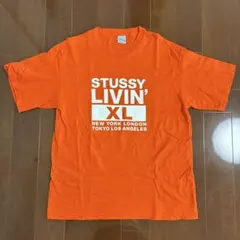 STUSSY Tシャツ オレンジ