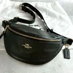 2026年最新】COACH レディース ボディバッグ・ウエストポーチの人気