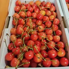 ３０日ーB　　加工用　紅秀峰　１ｋｇ　過熟気味のサムネイル