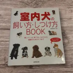 Item thumbnail for item c2d73308-a0d3-4f27-b6d6-abff33d8e6bd