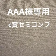 AAA様専用