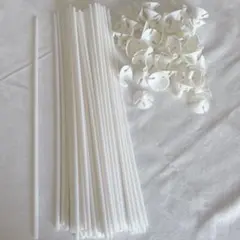 Item thumbnail for item 10f1b84d-bc83-4ccd-beef-1c9d4c5d9c5d