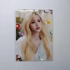 かっぱえびせん様 リクエスト 3点 まとめ商品