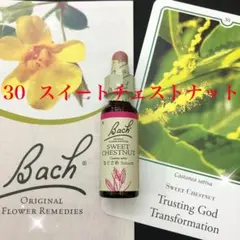 SALE30.スイートチェストナット フラワーエッセンス バッチフラワーレメディ