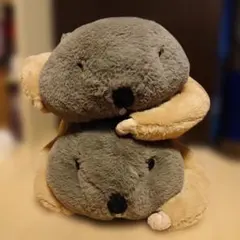Dｒ.マーモットまもちおもプクのぺたーん＆マモ相撲 ２種セットのサムネイル