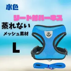 Item thumbnail for item 9fab530c-6208-4787-b1de-8acb935049b6