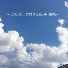 ✡.°ふわりഒ·°プロフ必読ʚ✚ɞ様専用ページ