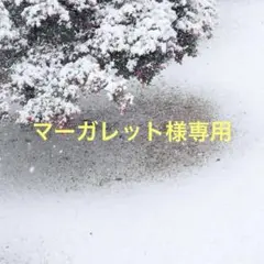 リーバイスデニム送料