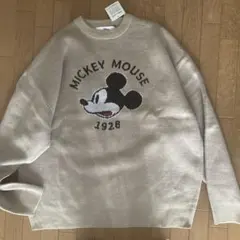 Item thumbnail for item 9a110b1f-865c-44dc-b1f3-6e6f857bd189