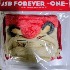 三代目 JSB FOREVER ONE キャラクター巾着 今市隆二