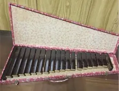 2025年最新】大正琴 ケースの人気アイテム - メルカリ