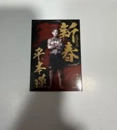 2026年最新】RIZIN平本蓮の人気アイテム - メルカリ