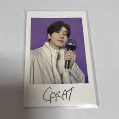 SEVENTEEN インスタントフォトステッカー ウォヌ