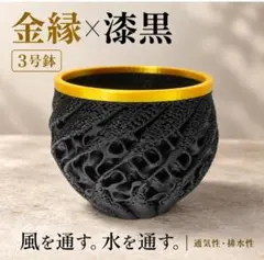 3号 漆黒×金縁 3Dプリンター鉢 露出ジャイロイド 2号鉢おまけ