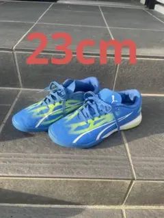 Item thumbnail for item 778a4c8c-6e5b-4271-84a7-39cea7940547