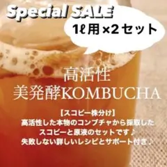大容量2L用　コンブチャ　スコビー　失敗しない詳しいレシピ＆サポート　腸活のサムネイル