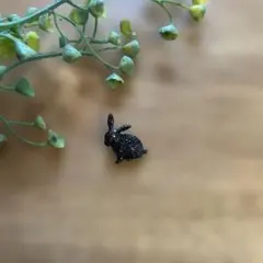 2025年最新】justin davis うさぎの人気アイテム - メルカリ