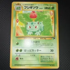 美品　フシギソウ　サザンアイランド　プロモ