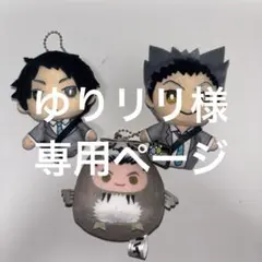 ゆりリリ様専用ページ