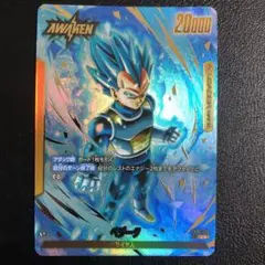 ベジット リーダーパラレルとノーマルリーダー ベジット リーダーパラレルとノーマルリーダー ベジット