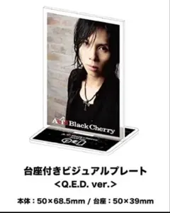 Acid Black Cherry 台座付きプレート
