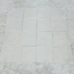 NINA RICCI 刺繍ハンカチ 571