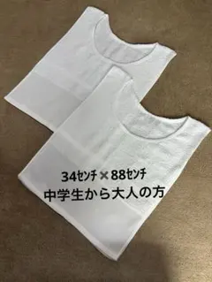 Item thumbnail for item 69f6e449-c970-456c-a4a0-7bc474818a96