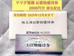 【匿名配送】YAMADA HLDGSお買物優待券　計2000円分　ヤマダ電機