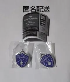 ツイステ 寮章ピンバッジ 2個セット