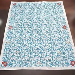 Item thumbnail for item 1d336780-b2cc-4627-895e-7c9eb799607d