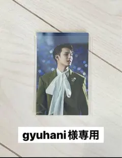 gyuhani様 リクエスト 2点 まとめ商品