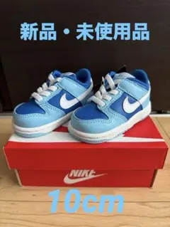 Nike スニーカー DV2634-400 4C