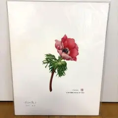 2026年最新】野村陽子 画の人気アイテム - メルカリ