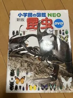 Item thumbnail for item 3a5ca390-d9c8-4017-8caa-a7e7807a700d