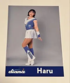 Item thumbnail for item d62ed1df-607f-41f4-a1e2-c05868df8c07