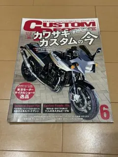 CUSTOM PEOPLE 2019年6月号 カワサキカスタム