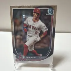 Item thumbnail for item 7179bd16-2da5-42b1-89f1-1d78066f0cbe