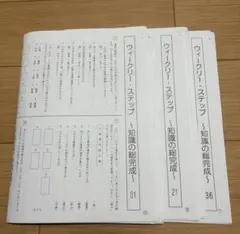 2026年最新】sapix 6年 知識の総完成の人気アイテム - メルカリ