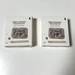 【訳あり】発掘キット 恐竜 化石 フライングタイガー まとめ売り