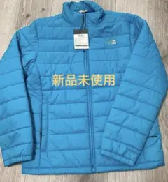 Item thumbnail for item 24fce35c-8de1-4c38-ab3a-8926012f0414