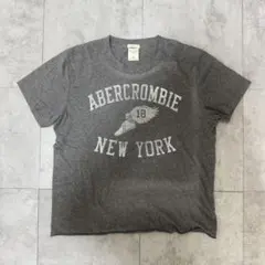 Abercrombie & Fitch アメカジ　Tシャツのサムネイル