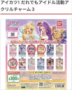 アイカツ！ だれでもアイドル活動アクリルチャーム３ らん おとめ かえで