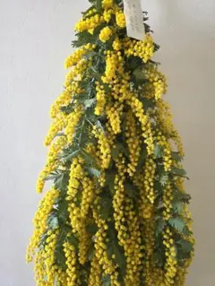 Item thumbnail for item 1f52e2ce-03d9-465b-a23d-3f4ab479f123