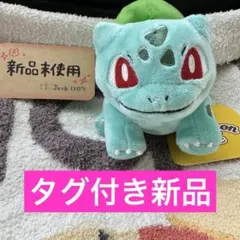 Pokémon fit フシギダネ　新品　未使用　タグ付き　ポケモンfit