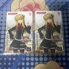 Item thumbnail for item ccce76e9-de74-44db-9471-bce1198165af