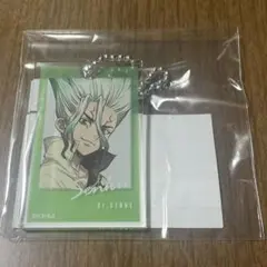 ⚠️ Dr.STONE まるくじ 第2弾 アクリルキーホルダー 石神千空